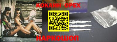 гашик Гатчина