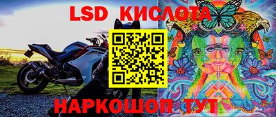 не бодяженный Гай