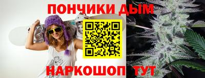 гашик Гатчина