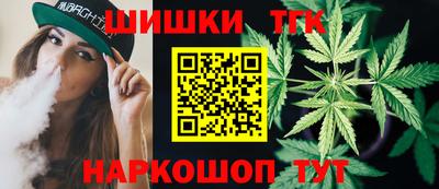 гашик Гатчина