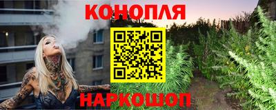 не бодяженный Гай