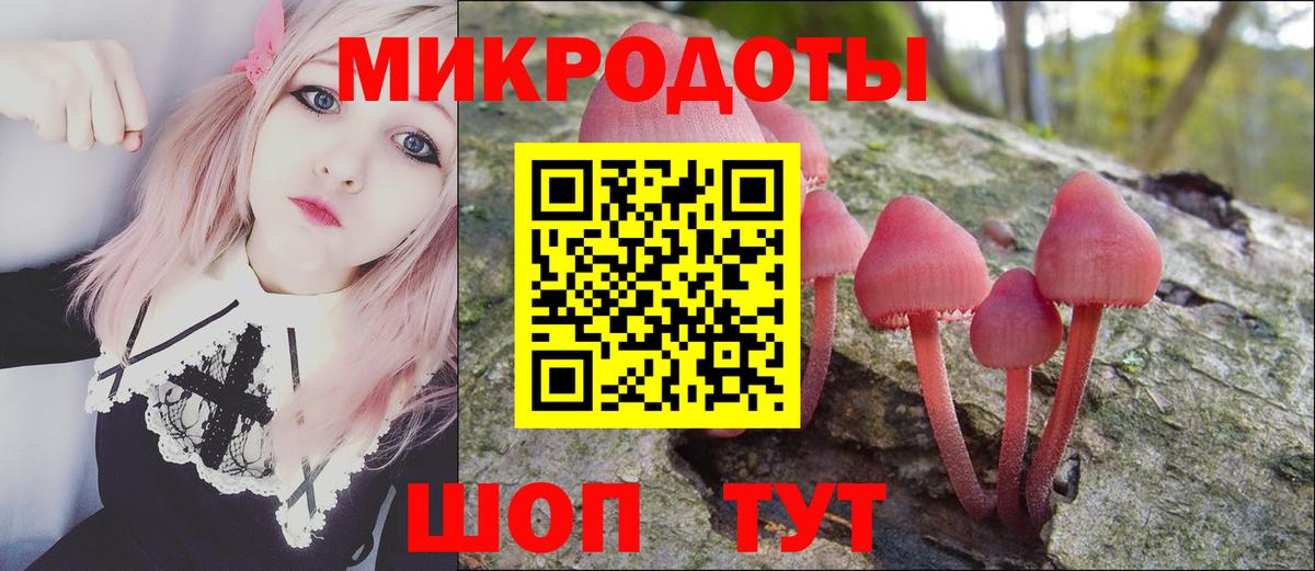 Галлюциногенные грибы Magic Shrooms Карабулак